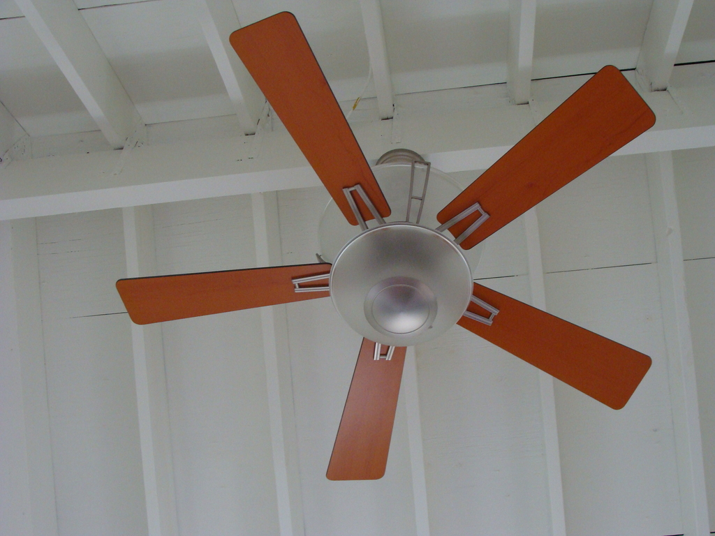 Ceiling fan