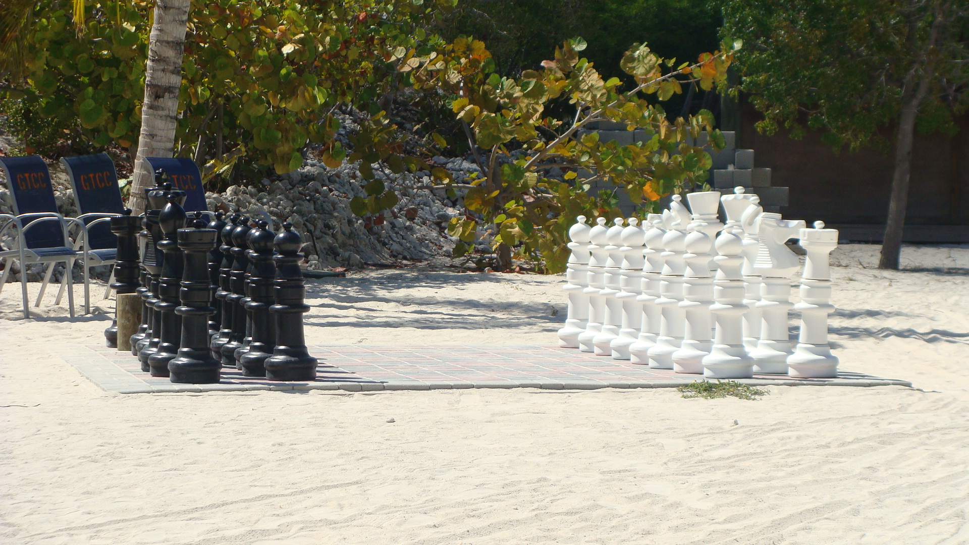 Chess Anyone?