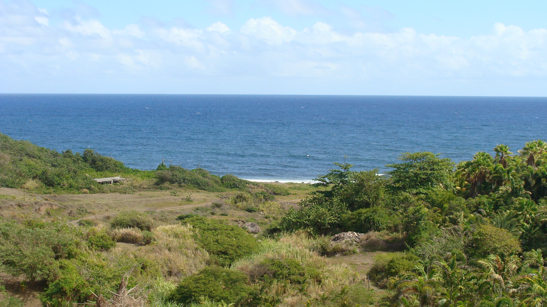 Coastline view