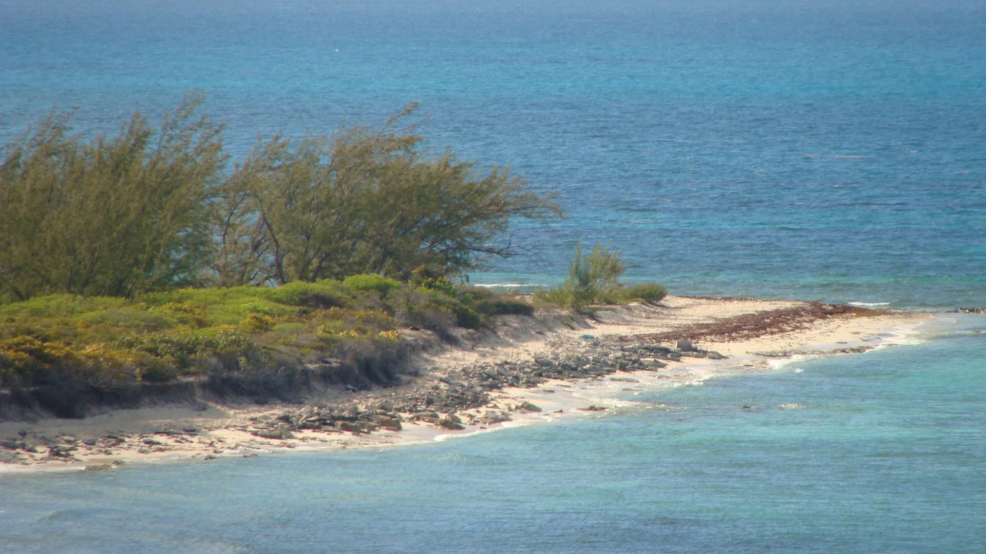 Conch Graveyard