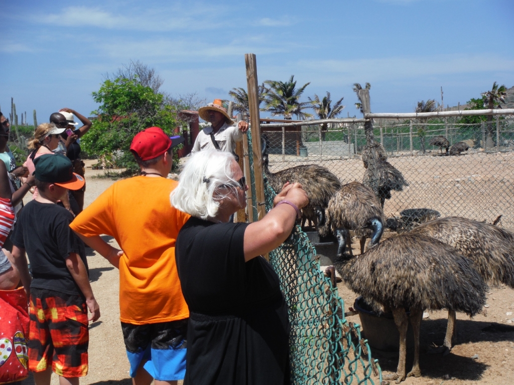 Emu pen