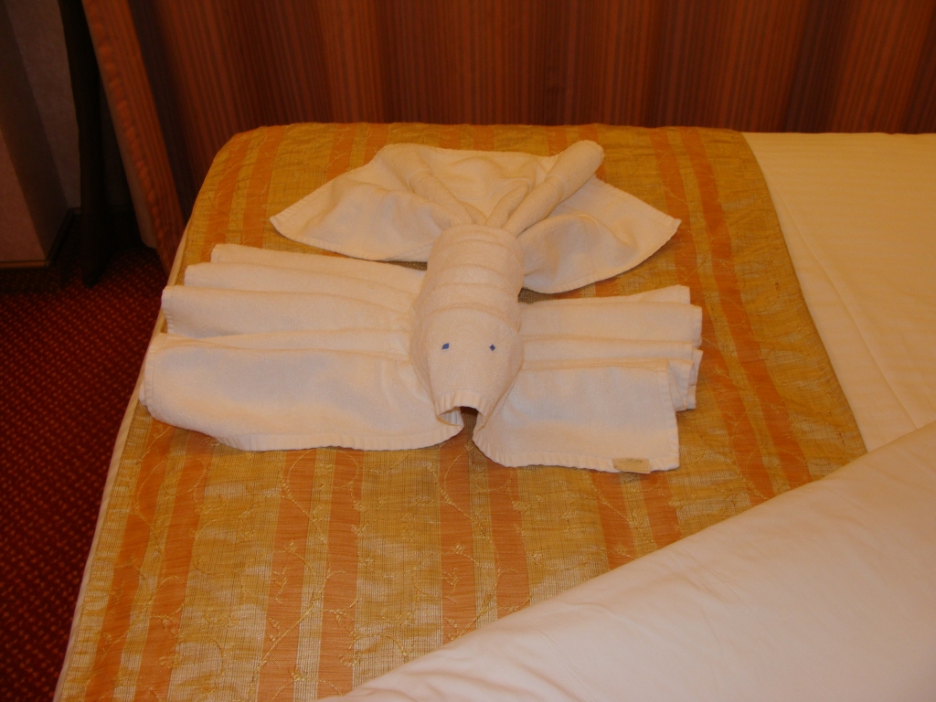 First Towel Animal