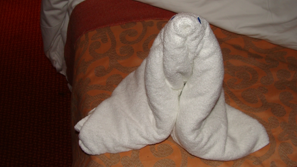 First Towel Animal