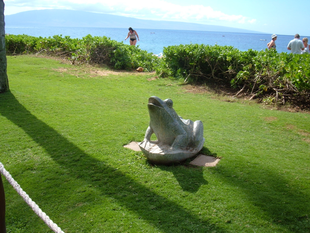 Frog statue at Ka'anapali