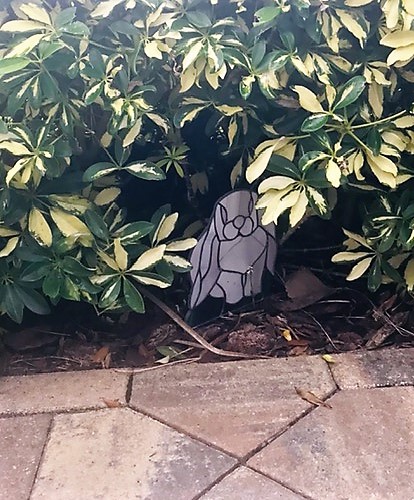 garden bunny.jpg