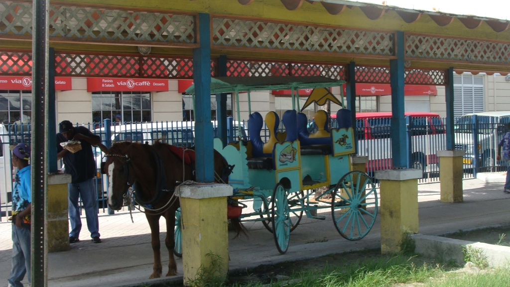 Horse and Carraige station