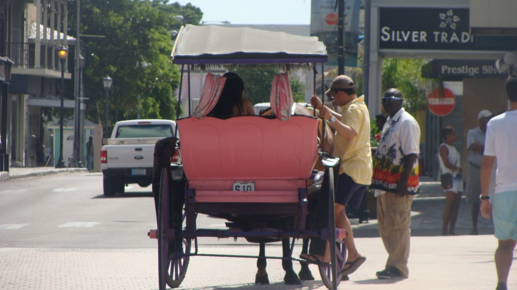 Horse and Carriage