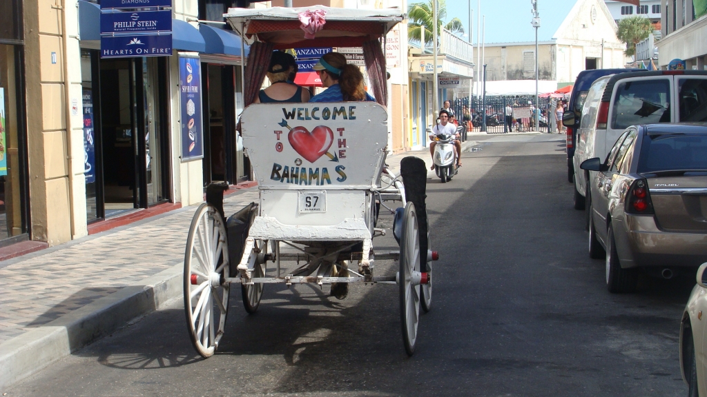 Horse and Carriage