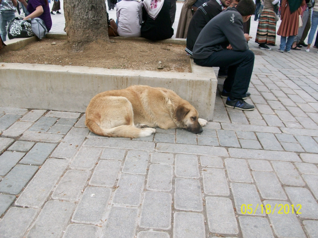 Istanbul