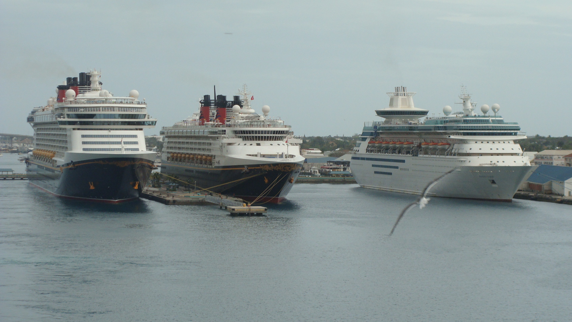 Leaving Nassau harbor