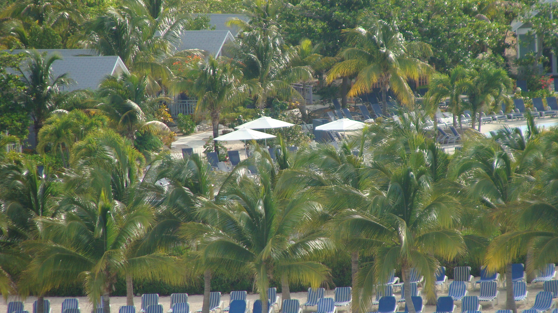 Margaritaville cabanas & pool