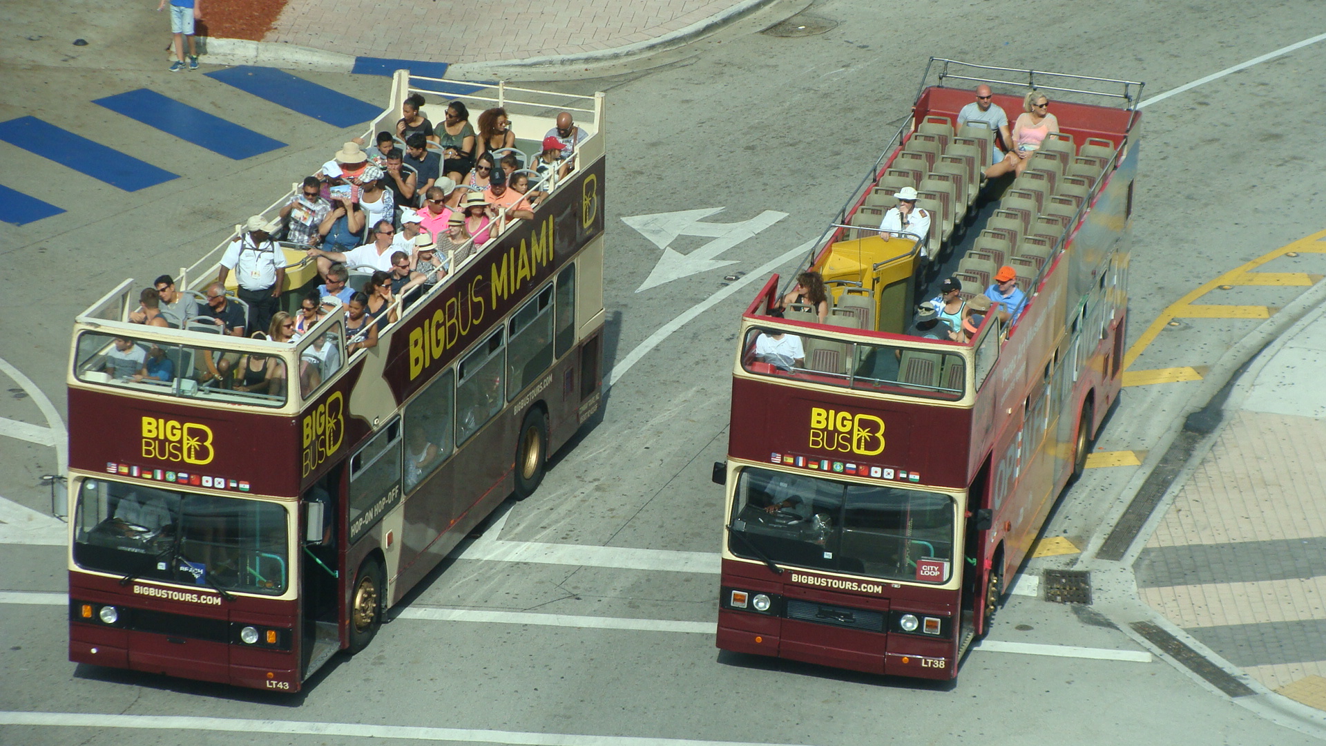 Miami Tour busses