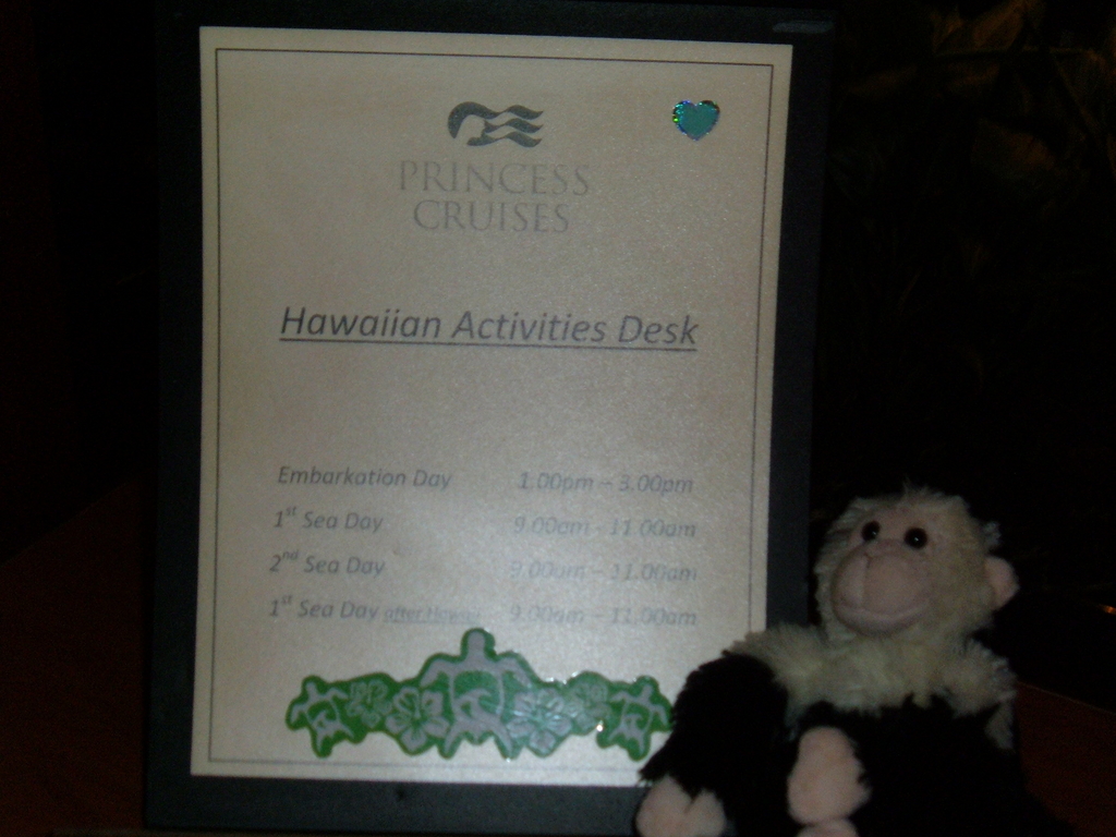 Monkey at Hawaiian Activities Desk