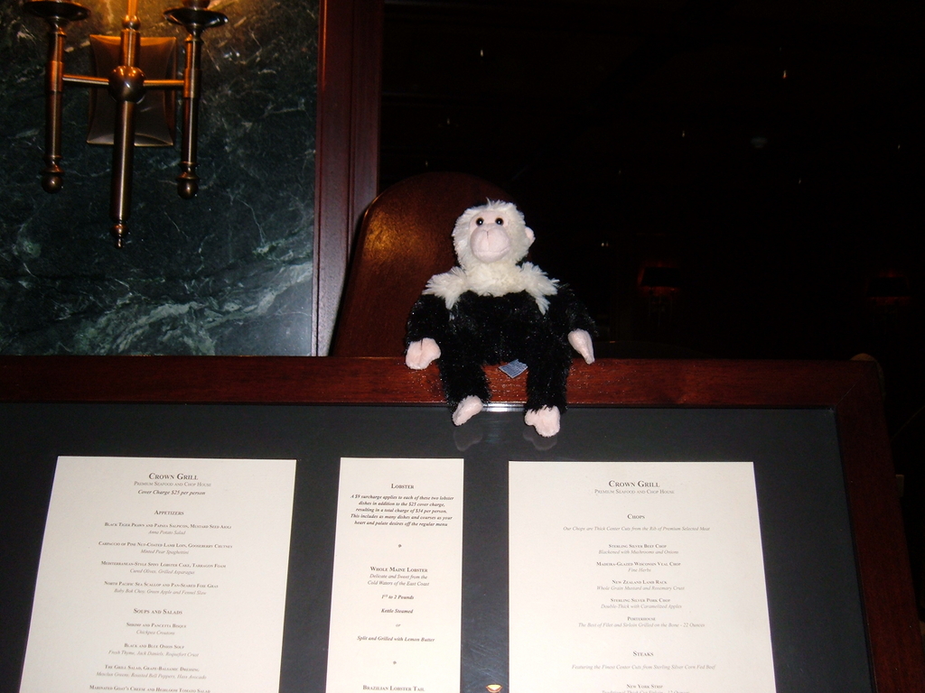 Monkey checking out Crown Grill