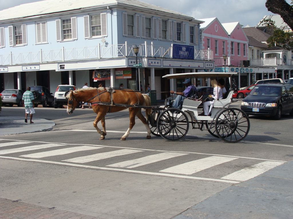 Nassau - Horse & Buggie