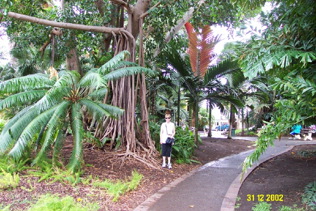 Noumea garden2.jpg