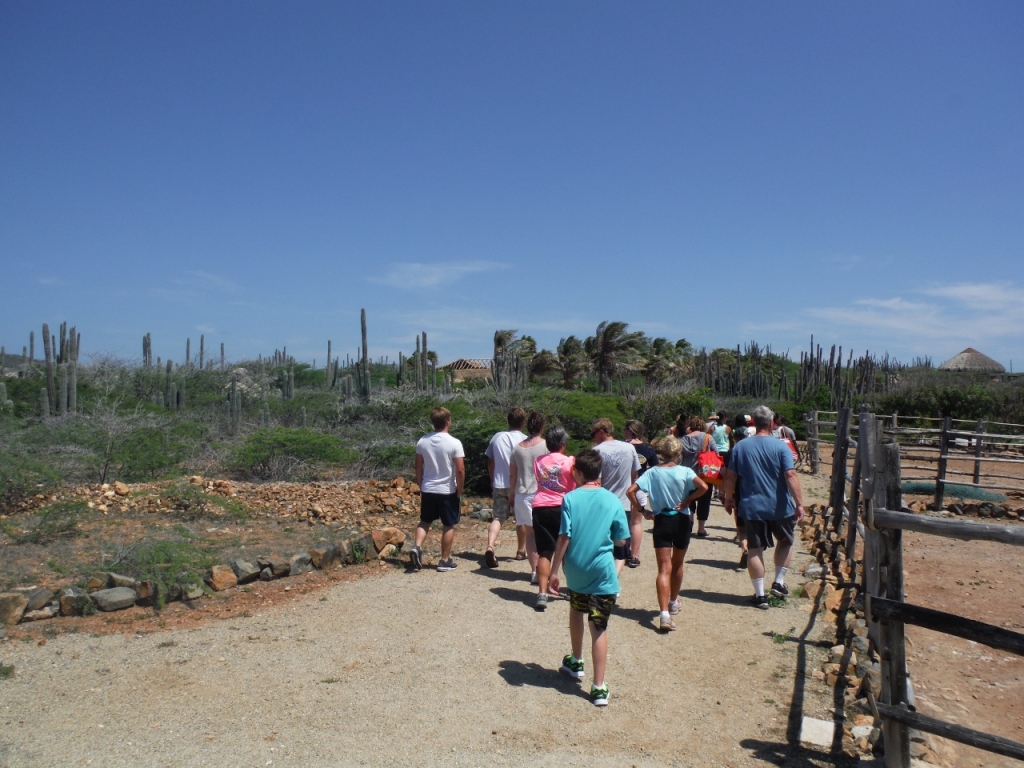 Ostrich Farm