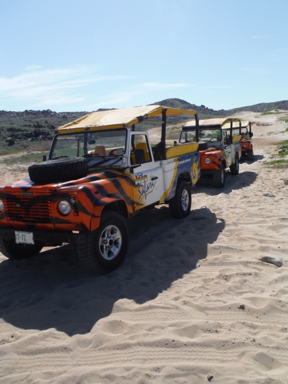 Our Jeeps parked on the beach