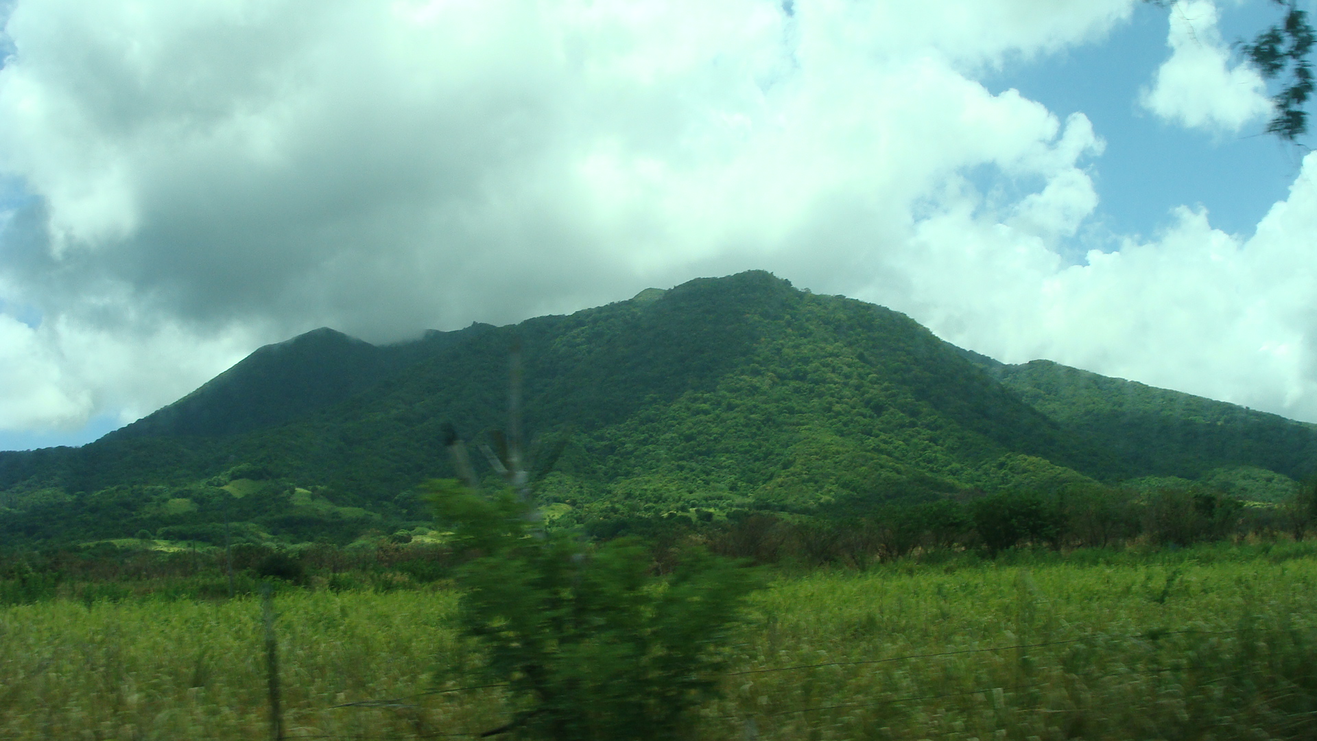 Patti's Scenic Ride views