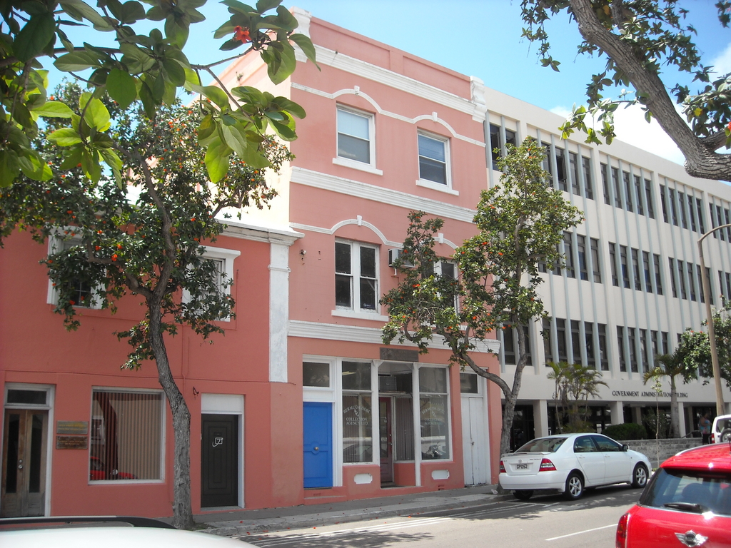 Pink Building