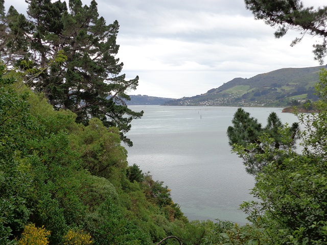 port chalmers2.jpg