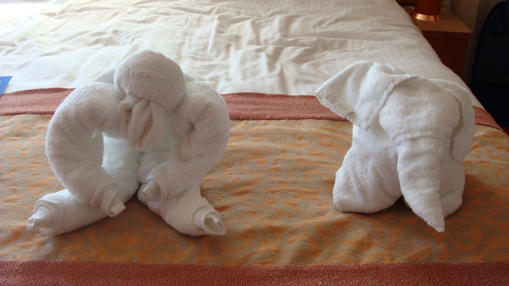 Ryan's towel animals