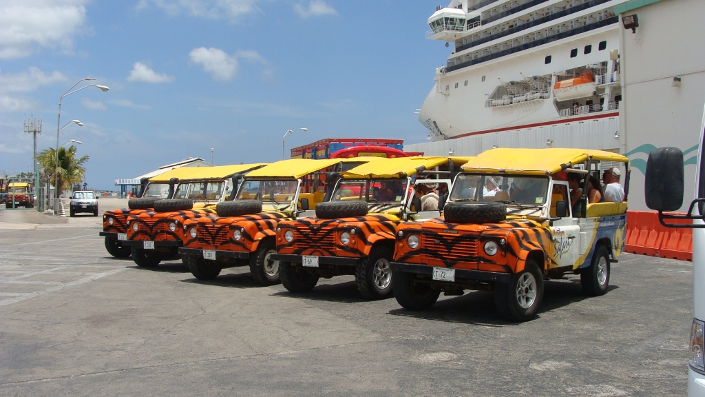 Safari Jeeps lined up