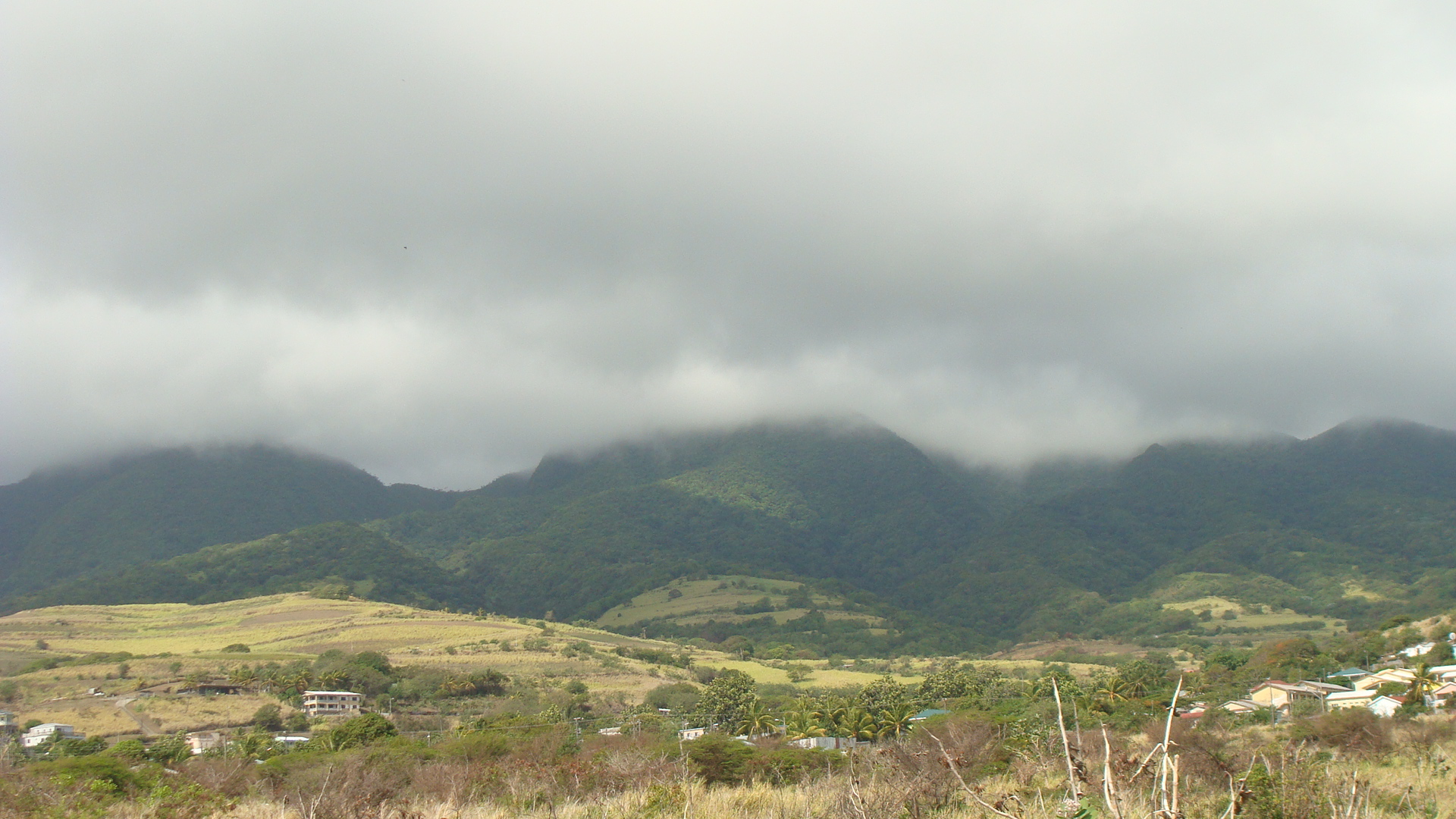 Scenic Railway view