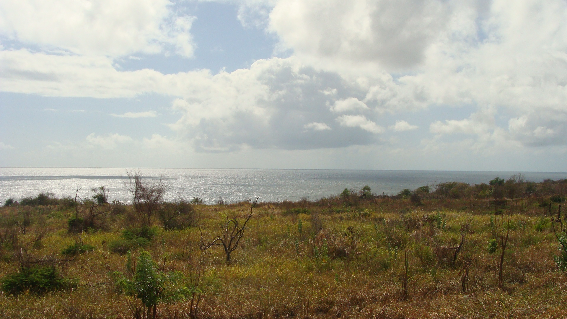 Scenic Railway view