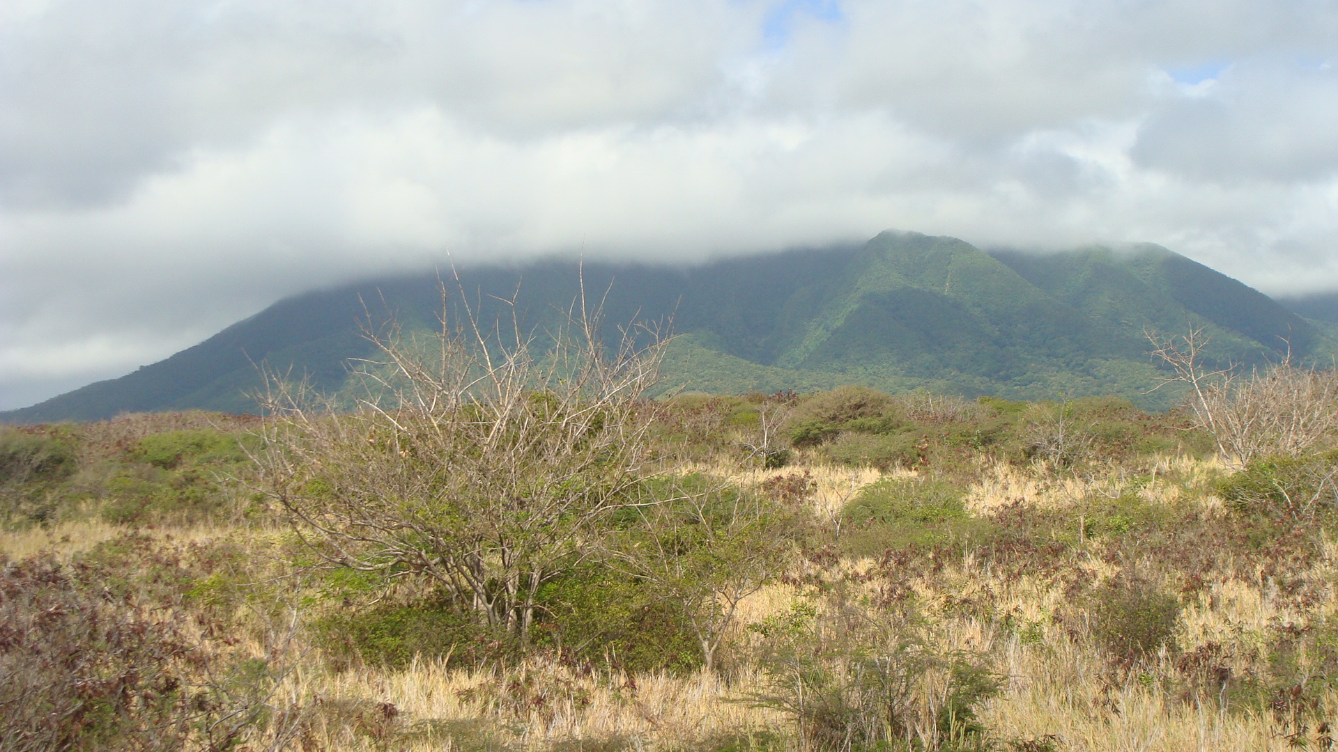 Scenic Railway view