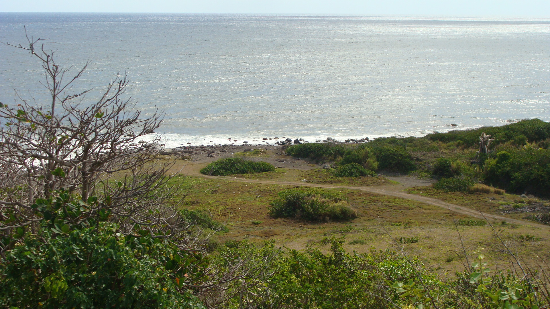 Scenic Railway view