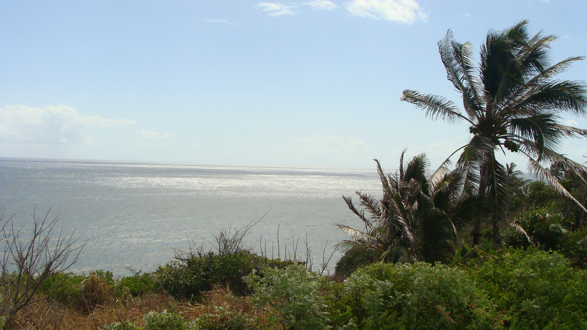 Scenic Railway view