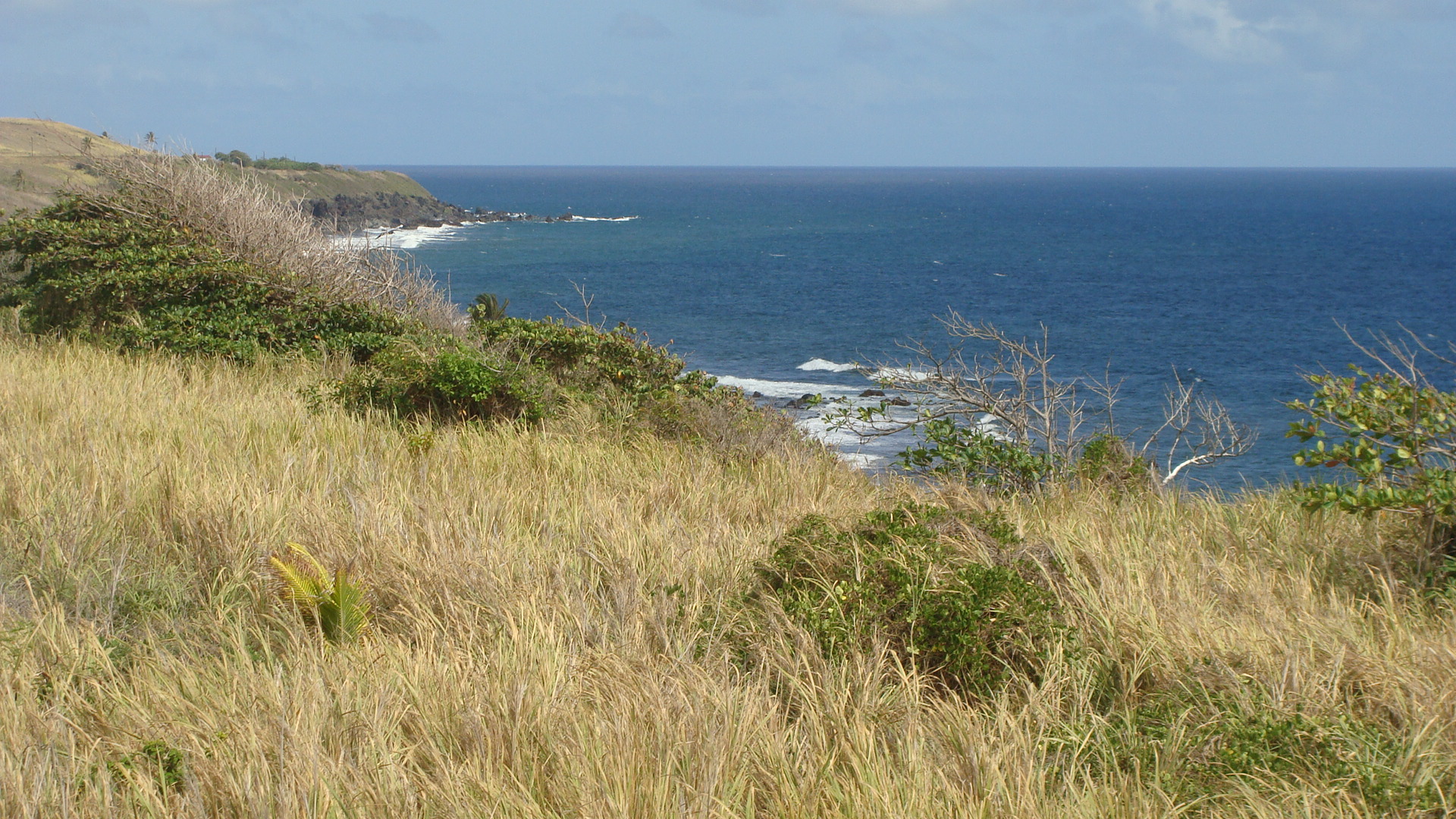 Scenic Railway view