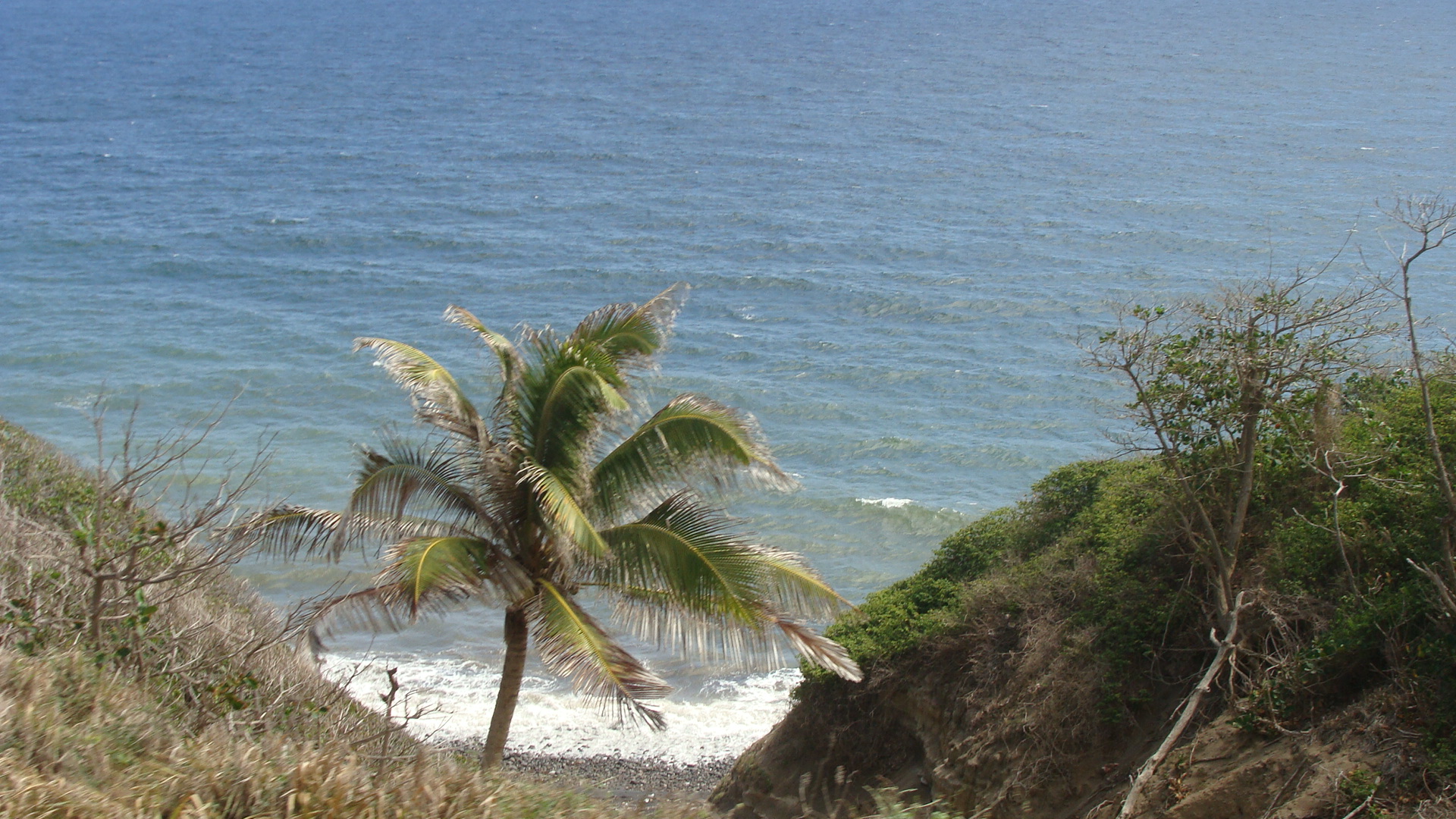 Scenic Railway view