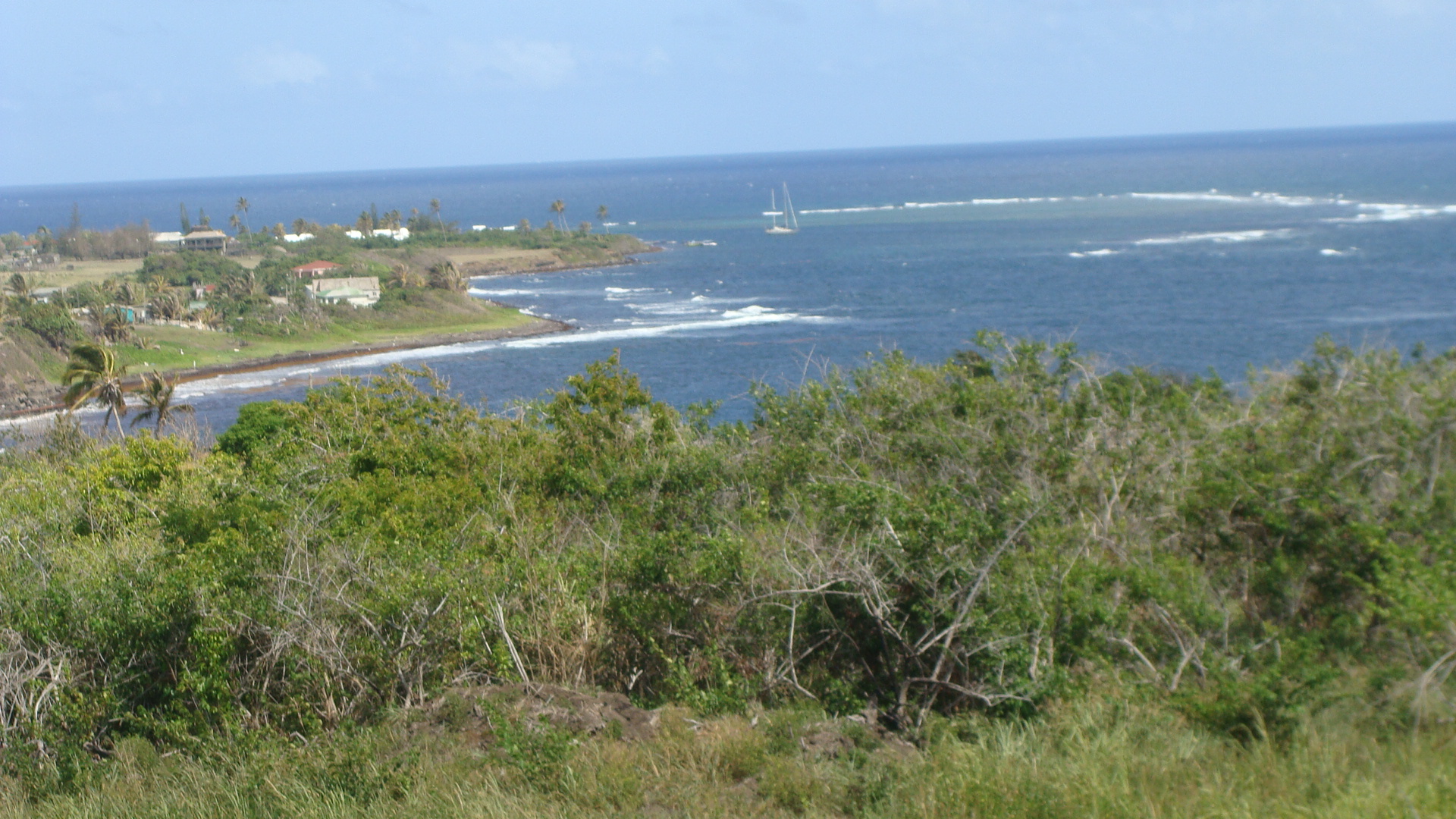 Scenic Railway view