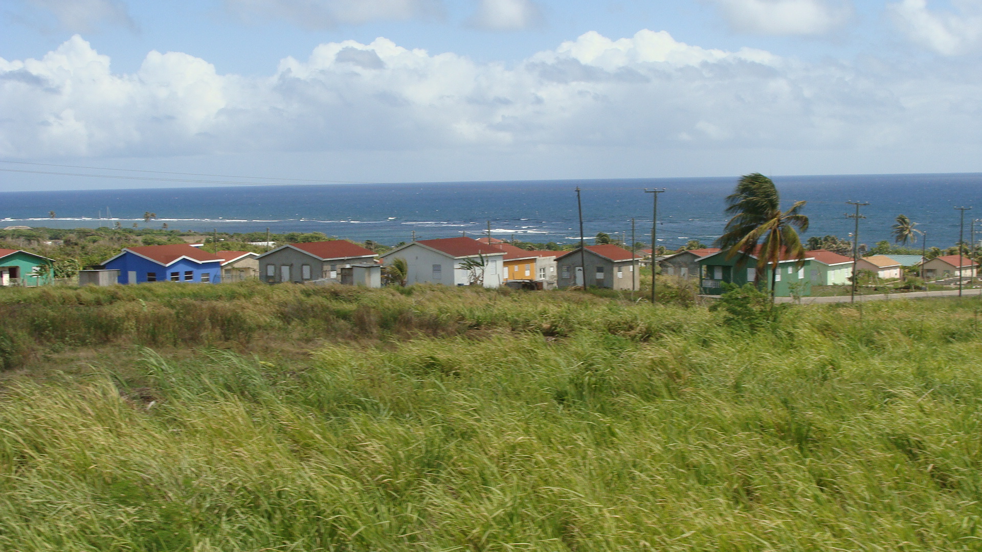 Scenic Railway views