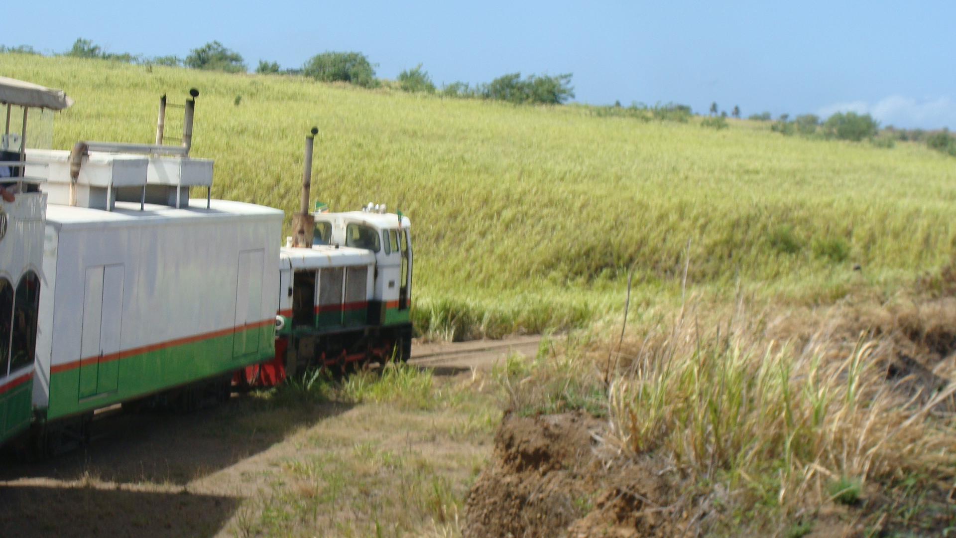 Scenic Railway views