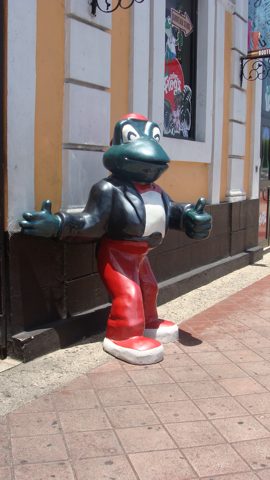 Senor Frog