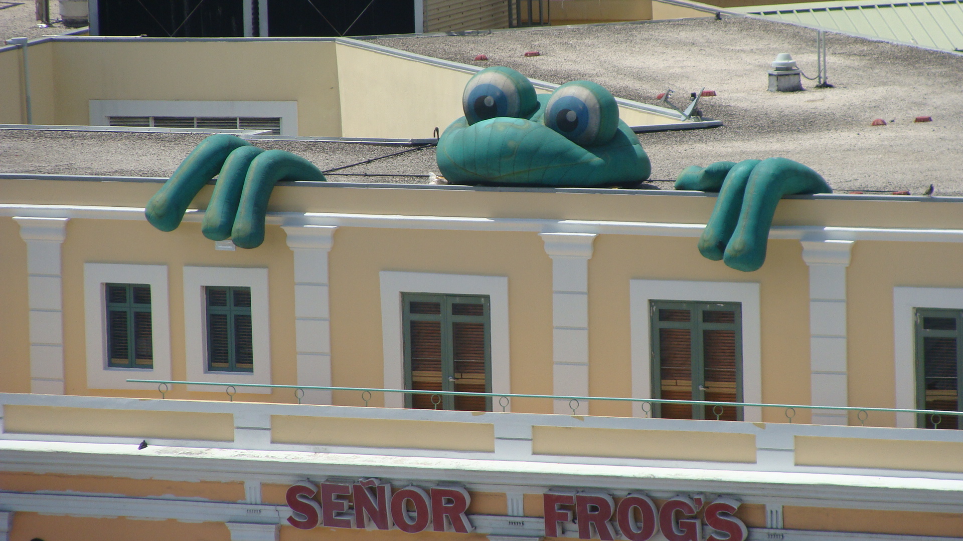 Senor Frog