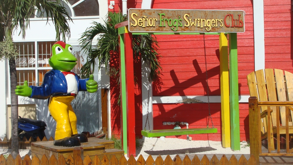 Senor Frog's