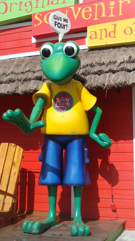 Senor Frog's