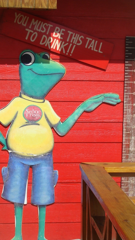 Senor Frog's