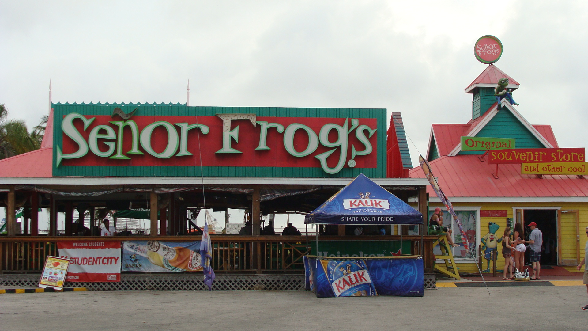 Senor Frog's