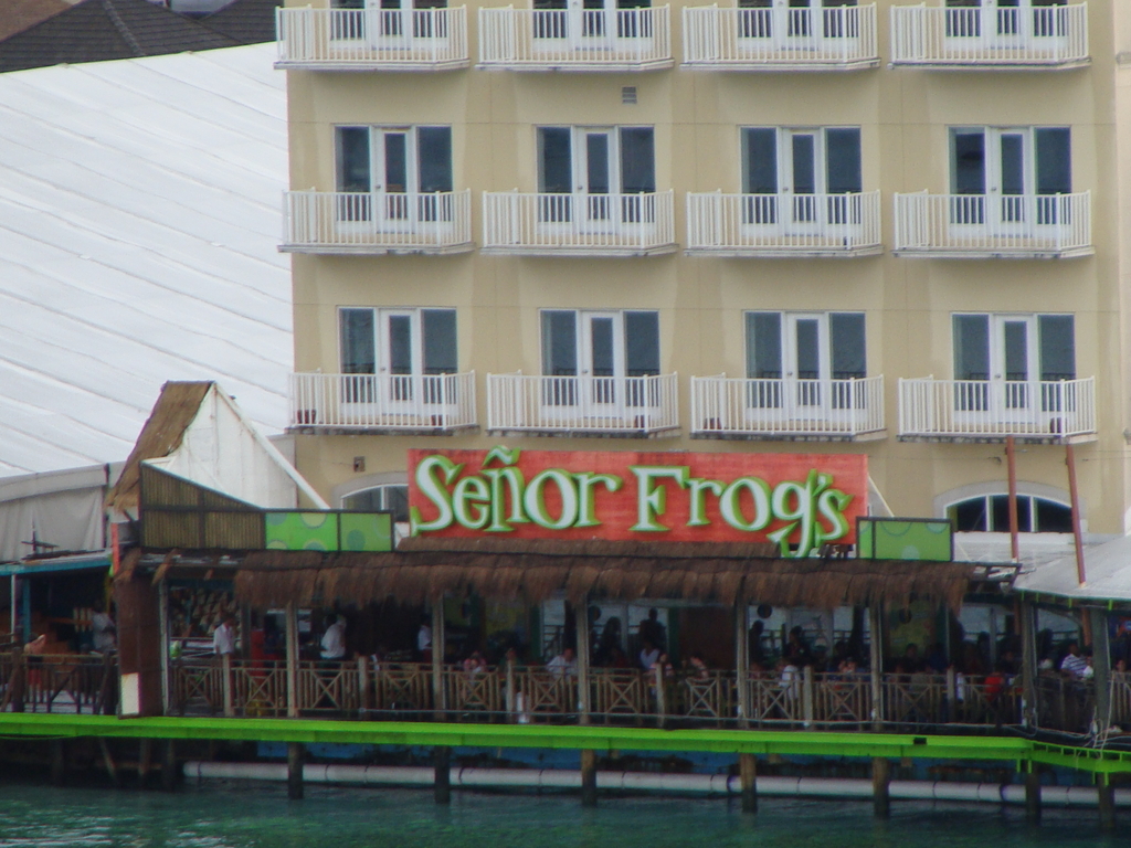 Senor Frogs