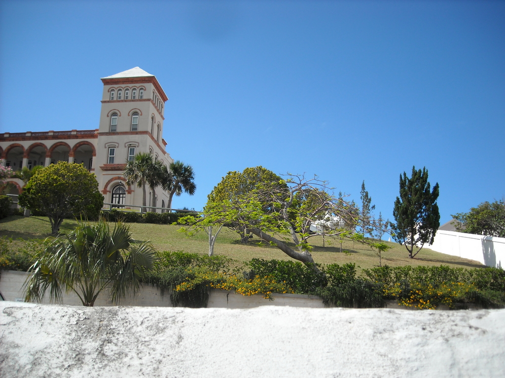 Side View with trees