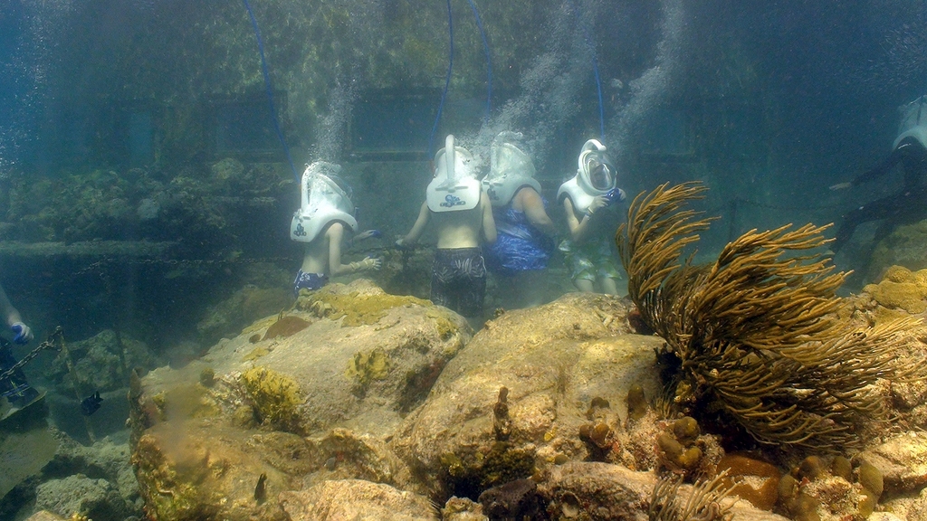 St.Thomas - Helmet Dive