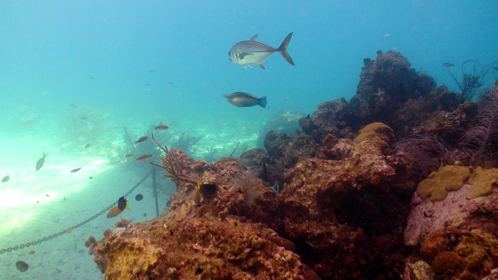 St.Thomas - Helmet Dive