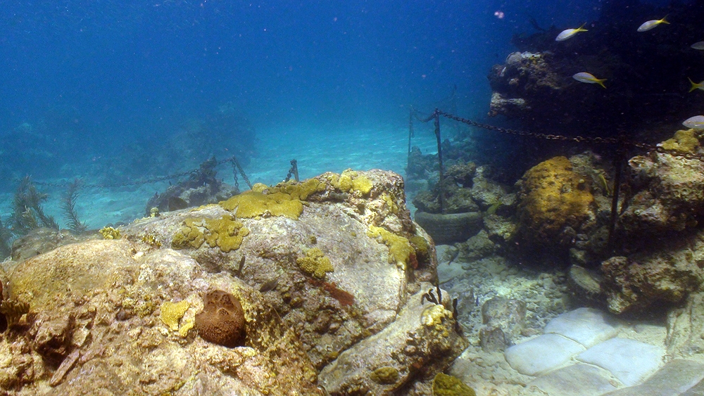 St.Thomas - Helmet Dive