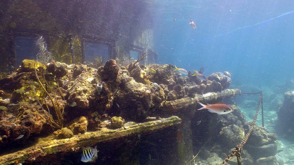 St.Thomas - Helmet Dive