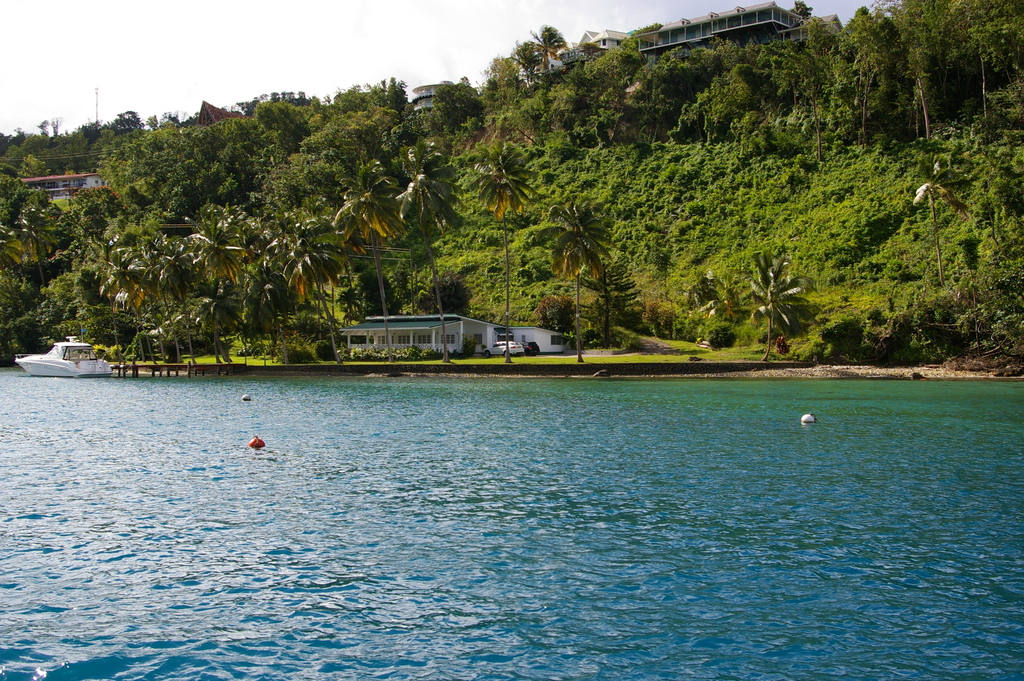 St_Lucia_2011-02-21_14